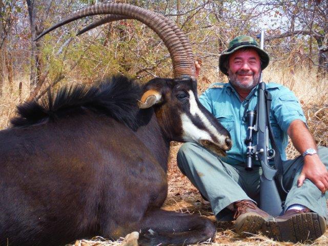 daves old sable bull the most beautiful antelope in Africa (2)